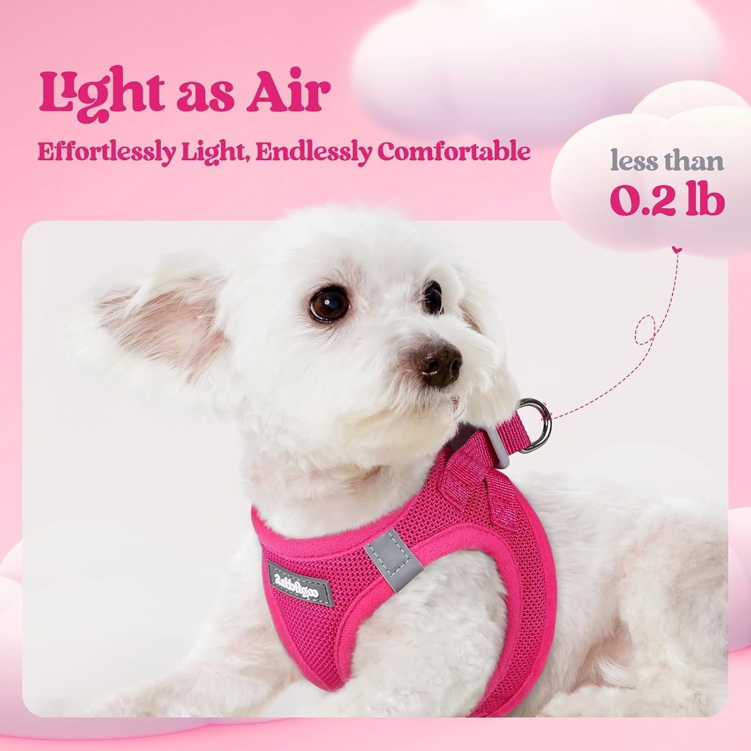 rabbitgoo_Dog_Harness_Small_Sized_and_Leash_Set,_Step_in_Soft_Light_Puppy_Vest,_Breathable_Mesh_Pet_Harness,_Reflective_for_Safe_Easy_Walking,_Rose_Red_S