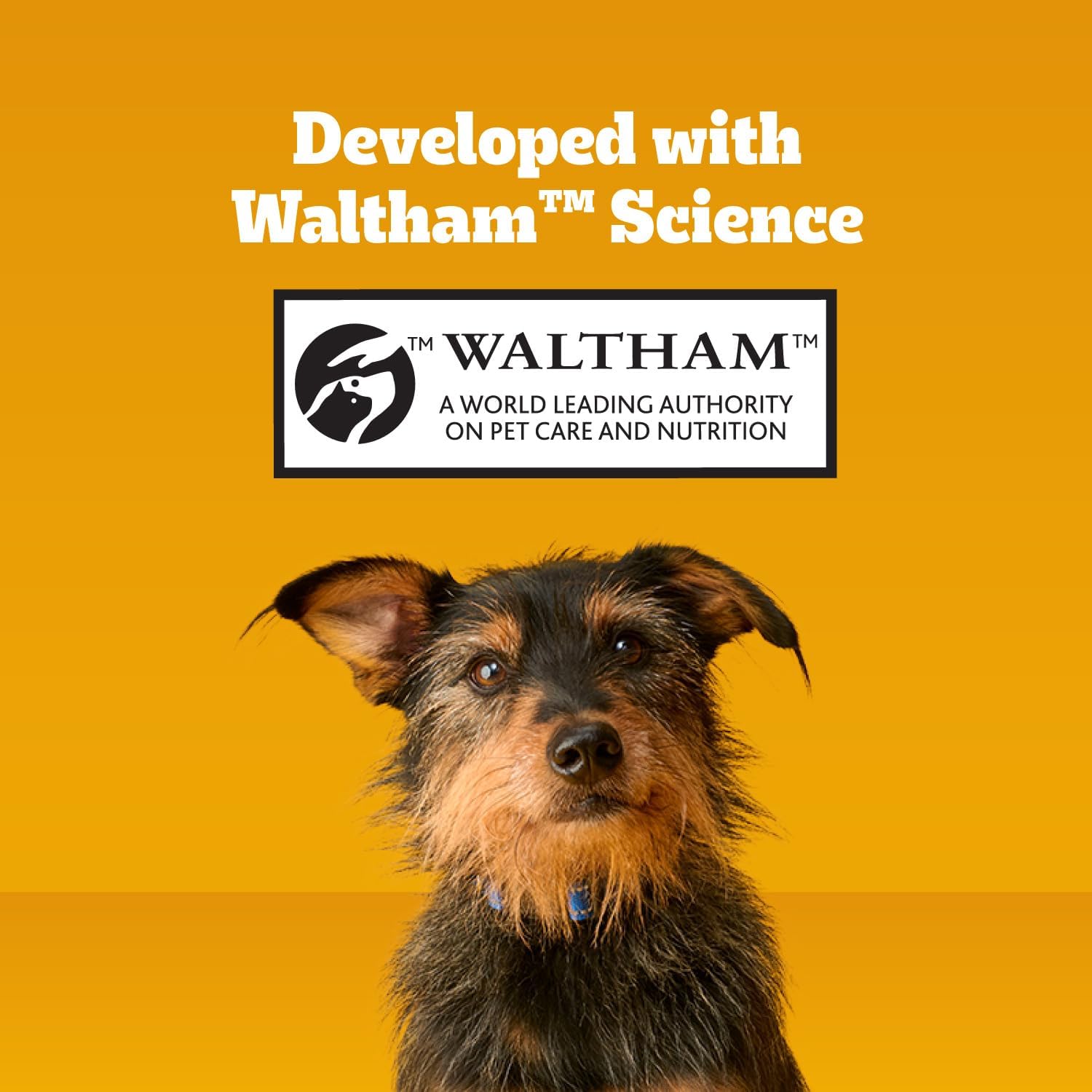 Pedigree_Dentastix_Large_Dog_Treats,_Original,_Beef_&_Fresh,_2.73_lb._Variety_Pack_(51_Treats_Total)