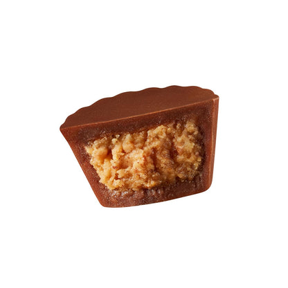 REESE'S_Miniatures_Milk_Chocolate_Peanut_Butter_Cups,_Candy_Family_Pack,_17.6_oz
