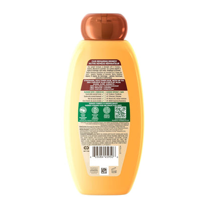 Garnier_Whole_Blends_Repairing_Shampoo_Honey_Treasures,_For_Damaged_Hair,_22_Fl_Oz_(Pack_of_1)