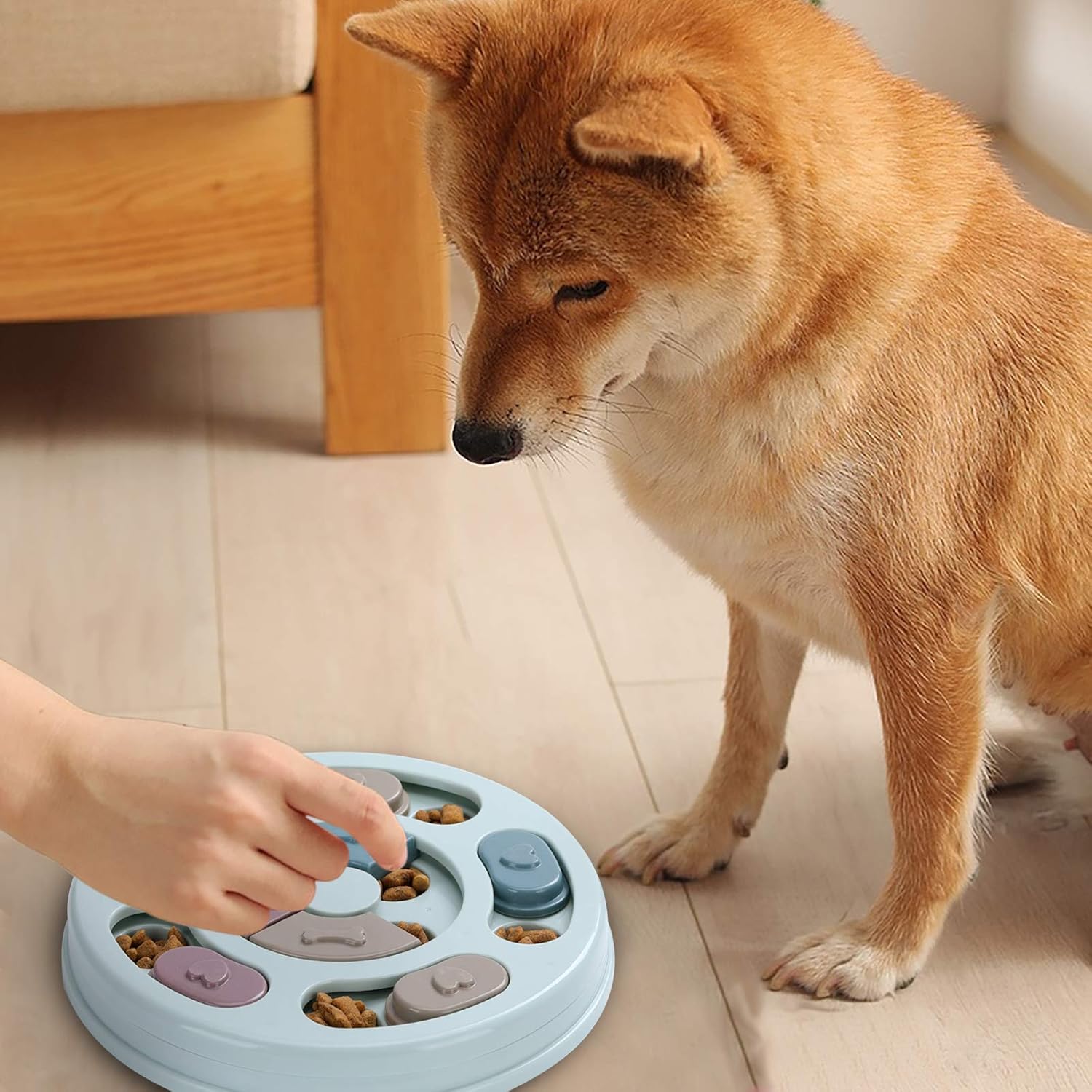 DR_CATCH_Dog_Puzzle,Dogs_Food_Toys_for_IQ_Training_&_Mental_Enrichment,Dog_Treat_Puzzle(Blue)