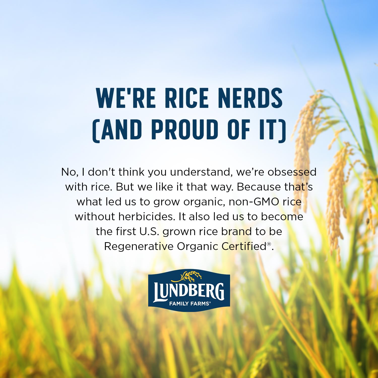 Lundberg_Organic_Basmati,_Long-Grain_Brown_Rice_–_Non-Sticky,_Fluffy_&_Aromatic,_32_Oz