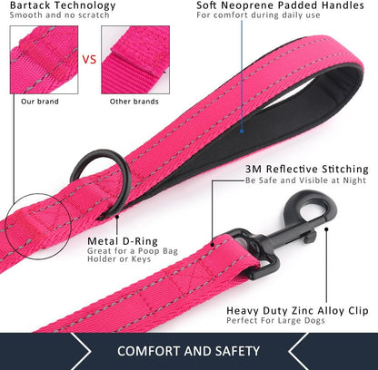 Plutus_Pet_Double_Handle_Dog_Leash_6ft_Long,_Padded_2_Handle,_Heavy_Duty,_Reflective_Training_Leash_for_Medium_Large_Dogs,_Dual_Handle_Lead_(Pink)