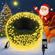 Warm White - 33FT 100LED