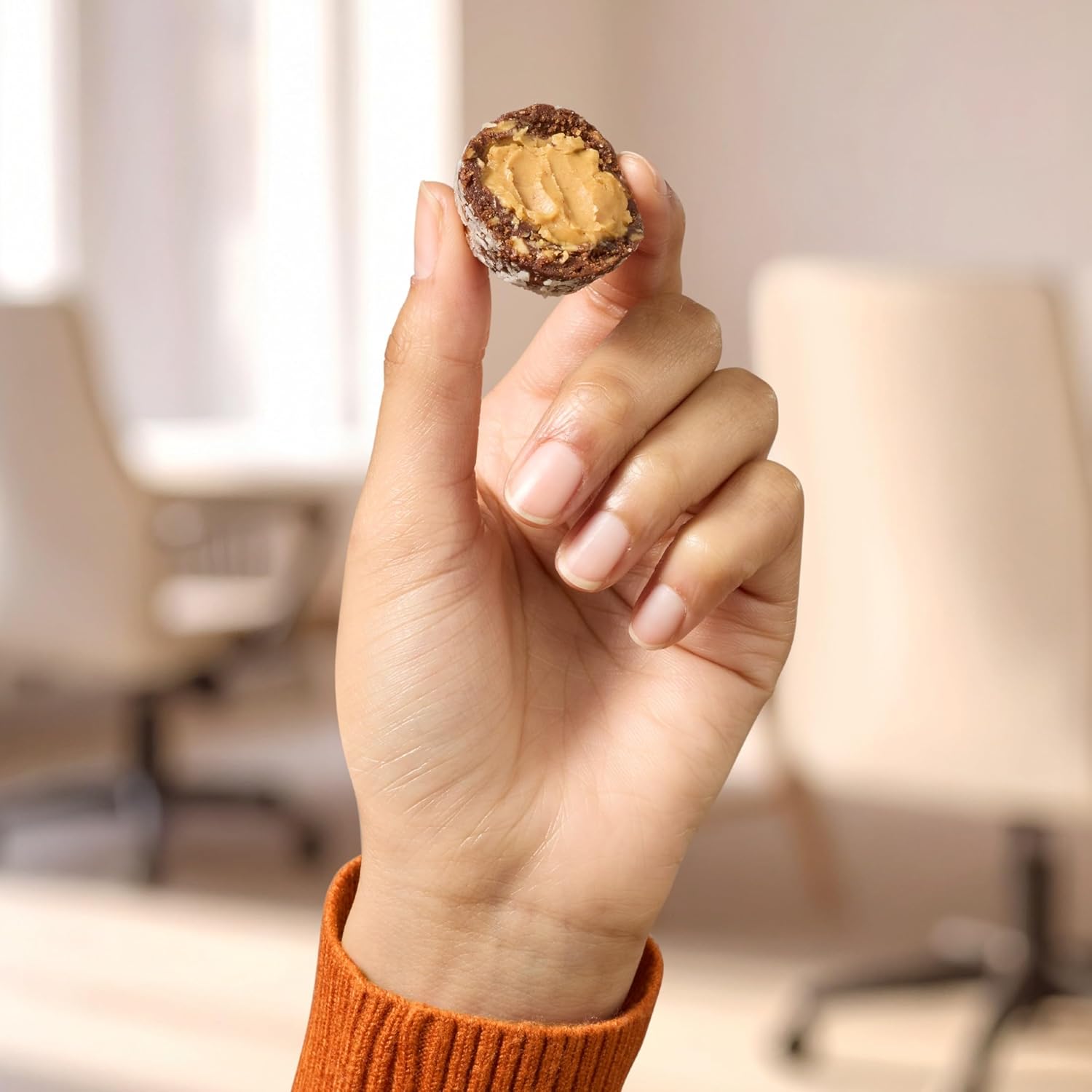 RXBAR_Protein_Energy_Bites,_Gluten_Free_Protein_Balls,_Dark_Chocolate_Peanut_Butter,_21.1oz_Box_(24_Bites)
