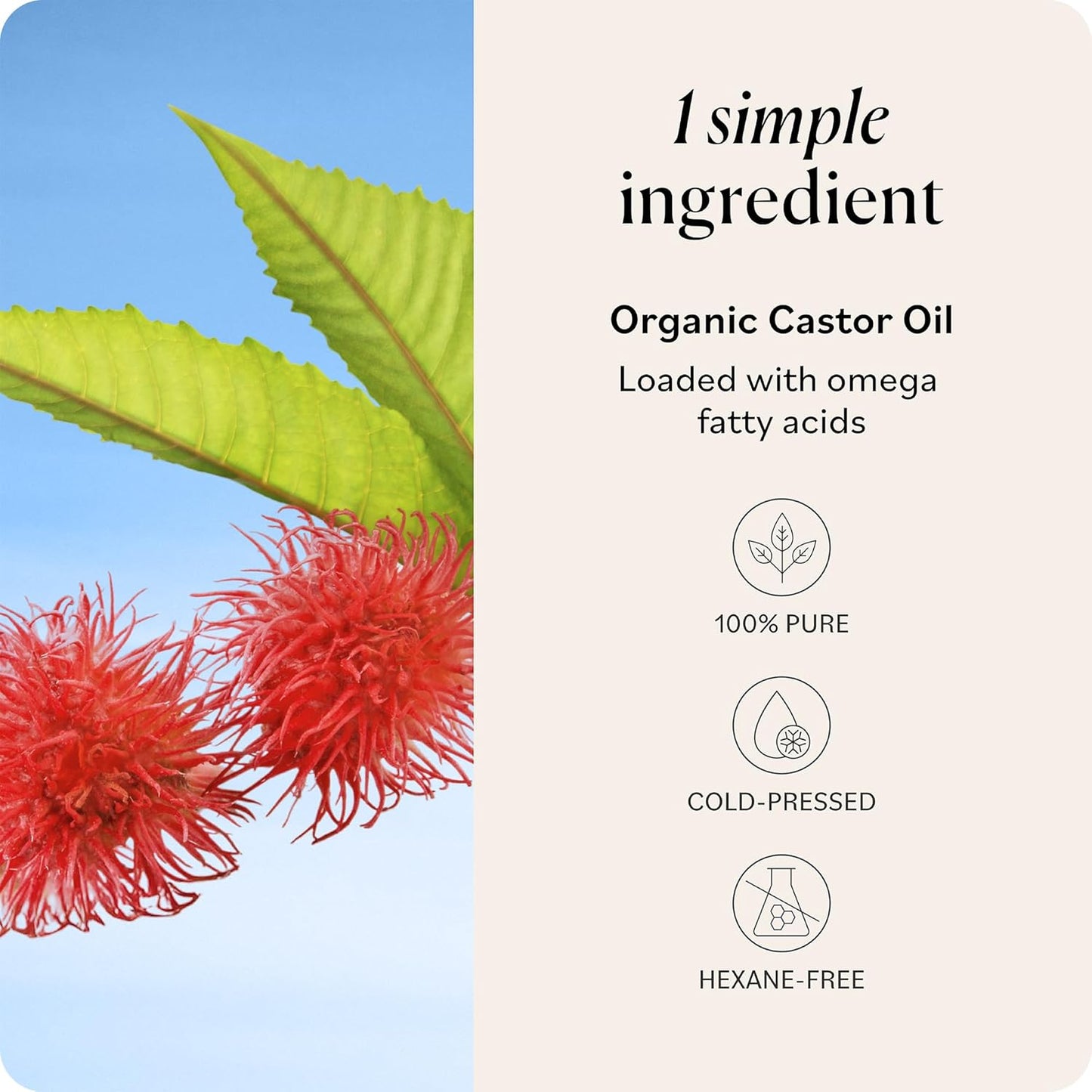 Sky_Organics_Castor_Oil_-_USDA_Certified_Organic_Hair_Oil_for_Hair_Growth,_Skin,_Face,_Eyelashes_-_Cold_Pressed_&_Hexane_Free_-_Pure_Organic_Castor_Oil_Pack_Wrap_-_Carrier_&_Hair_Treatment_Oil_-16oz