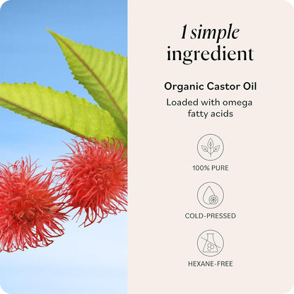 Sky_Organics_Castor_Oil_-_USDA_Certified_Organic_Hair_Oil_for_Hair_Growth,_Skin,_Face,_Eyelashes_-_Cold_Pressed_&_Hexane_Free_-_Pure_Organic_Castor_Oil_Pack_Wrap_-_Carrier_&_Hair_Treatment_Oil_-16oz