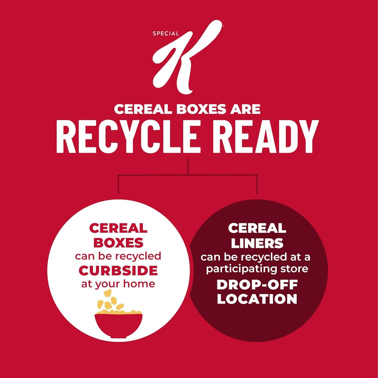 Kellogg's_Special_K_Breakfast_Cereal,_Family_Breakfast,_Fiber_Cereal,_Family_Size,_Red_Berries_(3_Boxes)