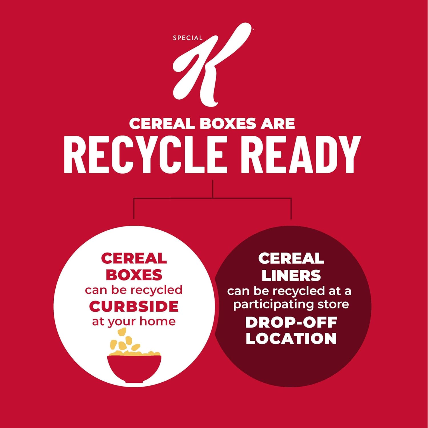 Kellogg's_Special_K_Breakfast_Cereal,_Family_Breakfast,_Fiber_Cereal,_Family_Size,_Red_Berries_(3_Boxes)