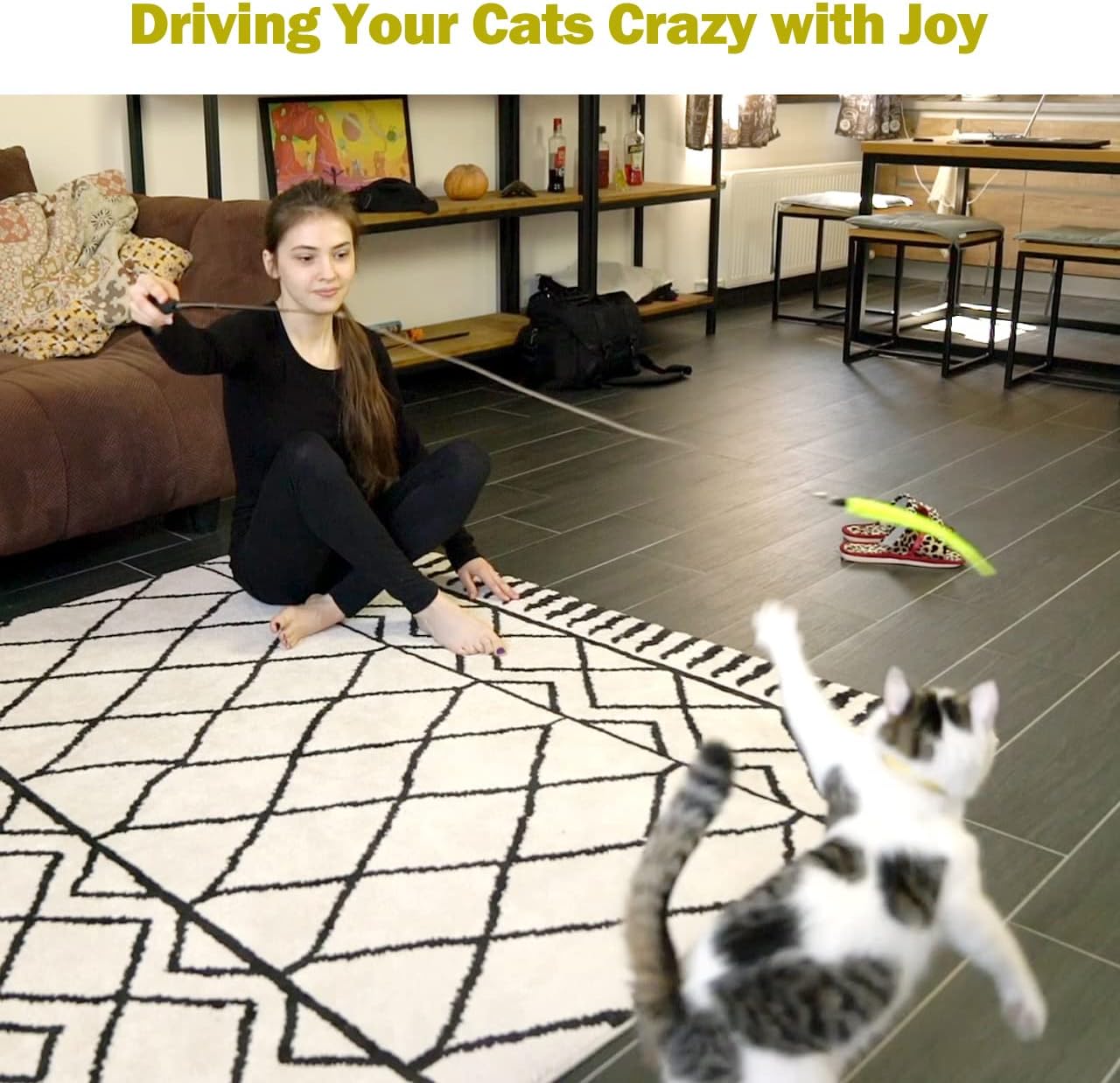 MeoHui_Cat_Toys_for_Indoor_Cats,_Interactive_Cat_Toy_2PCS_Retractable_Wand_Toy_and_9PCS_Cat_Feather_Toys_Refills,_Funny_Kitten_Toys_Cat_Fishing_Pole_Toy_for_Bored_Indoor_Cats_Chase_and_Exercise