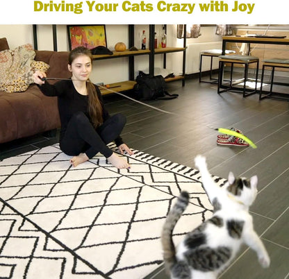 MeoHui_Cat_Toys_for_Indoor_Cats,_Interactive_Cat_Toy_2PCS_Retractable_Wand_Toy_and_9PCS_Cat_Feather_Toys_Refills,_Funny_Kitten_Toys_Cat_Fishing_Pole_Toy_for_Bored_Indoor_Cats_Chase_and_Exercise