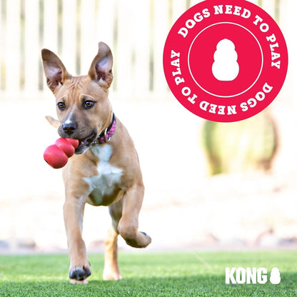 KONG_Flyer_-_Durable_Dog_Toy_for_Outdoor_Playtime_-_Natural_Rubber_Flying_Disc,_Dog_Toy_for_Fetch_-_Safer_Disc_for_Healthy_Activity_-_for_Medium/Large_Dogs