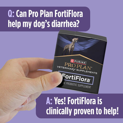 Purina_Pro_Plan_Veterinary_Supplements_FortiFlora_Probiotic_Powder_for_Dogs,_Daily_Support_for_Digestive_and_Immune_Health_and_Occasional_Diarrhea