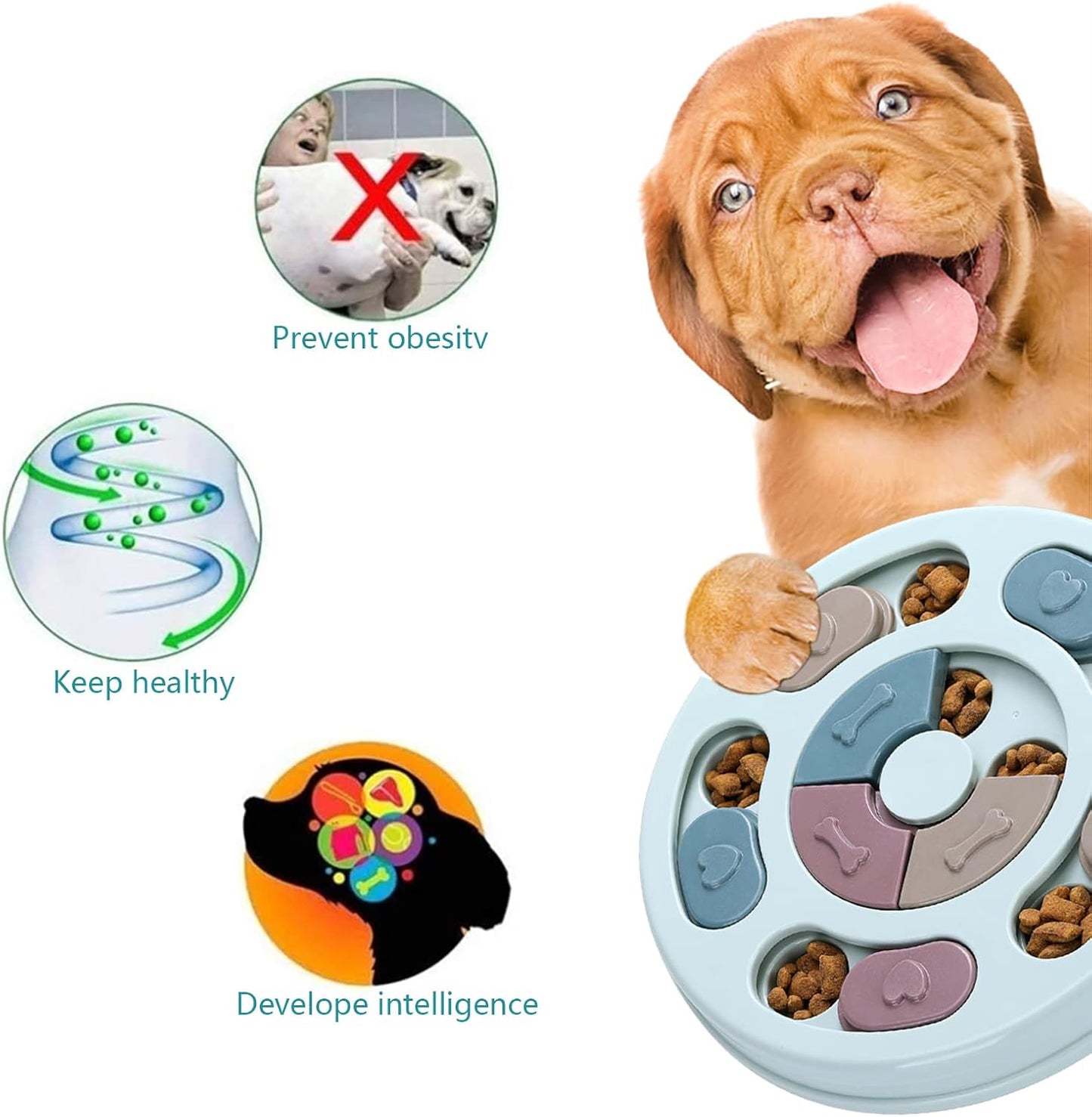 DR_CATCH_Dog_Puzzle,Dogs_Food_Toys_for_IQ_Training_&_Mental_Enrichment,Dog_Treat_Puzzle(Blue)