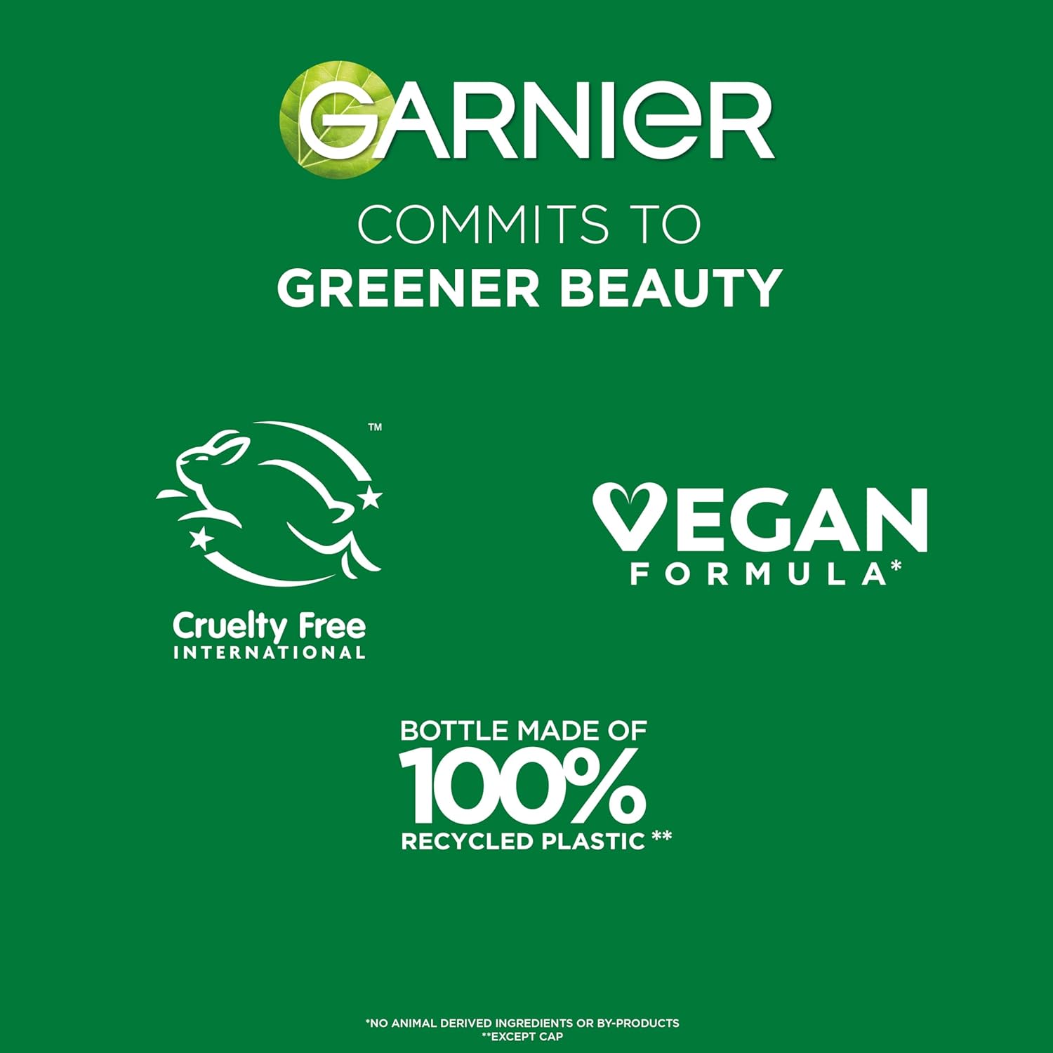 Garnier_Fructis_Sleek_and_Shine_Sleek_and_Stay_Hair_Serum_for_Frizzy,_Dry_Hair,_Heat_Protectant_Formulated_with_Alpha_Silane,_1.7_Fl_Oz(Packaging_May_Vary)