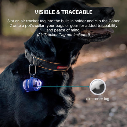 OLIGHT_Gober_2_Safety_Light,_High_Visibility_Beacon_LED_with_6_Color_Settings_and_4_Lighting_Modes,_USB-C_Rechargeable_Flashing_Warning_with_Clip_for_Running,_Cycling,_Camping,_Dog_Walking(Blue)