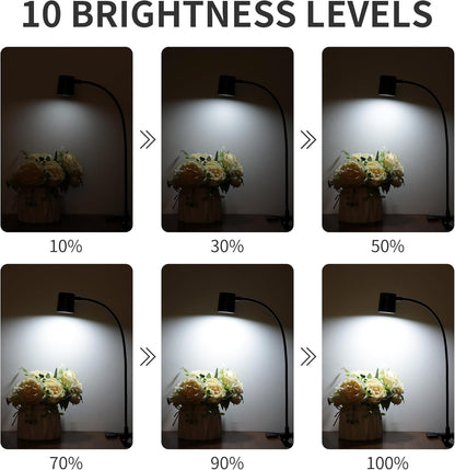 Dott_Arts_Desk_Lamp,USB_Clip_On_Light,Book_Lights_for_Reading_at_Night,3_Color_Modes,10_Brightness_Clamp_Lights,360°_Gooseneck_LED_Reading_Light_for_Books_in_Bed,Eye-Care_for_Home_Office,Headboards