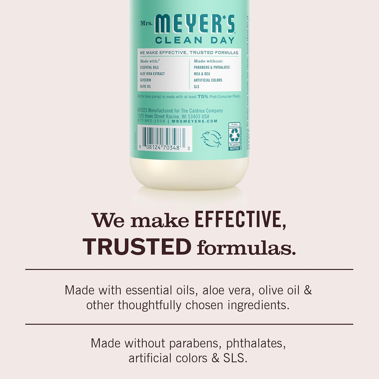 MRS._MEYER'S_CLEAN_DAY_Hand_Soap,_Mint_Scent,_12.5_Fl_Oz_Bottle