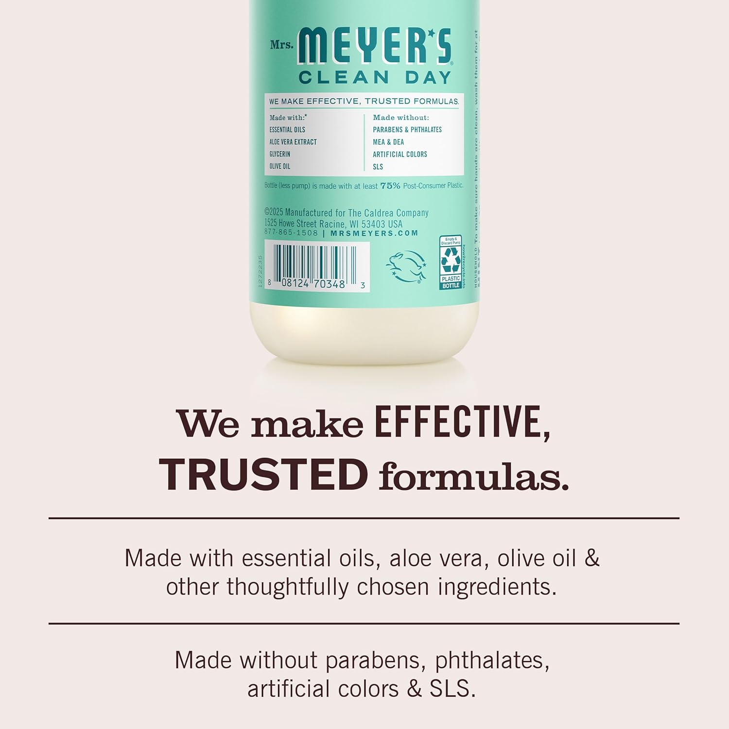 MRS._MEYER'S_CLEAN_DAY_Hand_Soap,_Mint_Scent,_12.5_Fl_Oz_Bottle