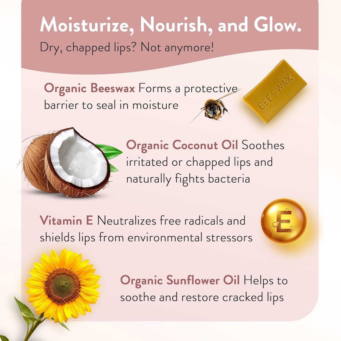 Moroccan_Magic_Organic_Pure_Coconut_Lip_Balm_3_Pack_|_Ultra-Hydrating_Argan_&_Essential_Oil_Lip_Moisturizer_+_Vitamin_E_|_Natural_Chapstick_for_Dry_Lips_|_Smooth,_Non-Toxic_|_Organic_Lip_Balm