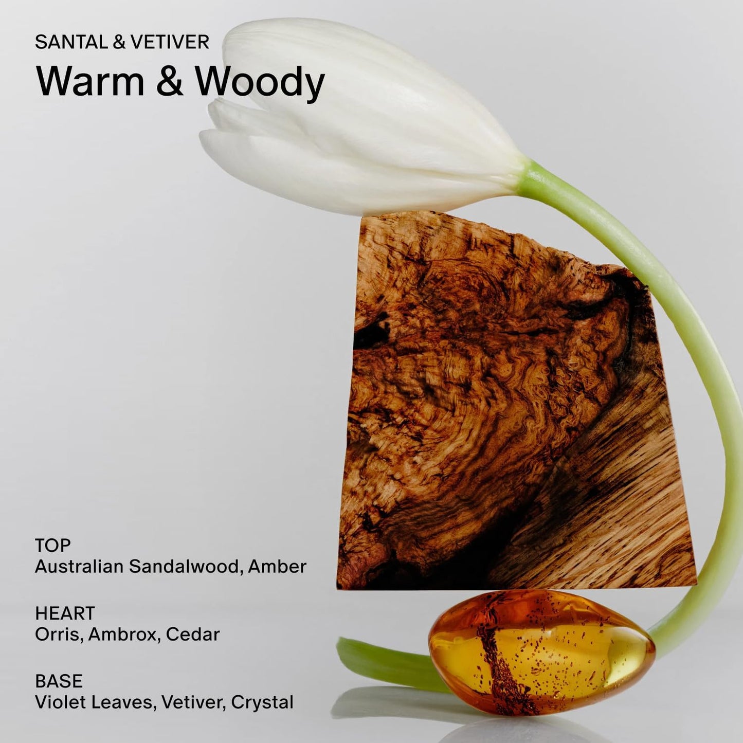 Salt_&_Stone_Coconut_&_Soy_Blend_Scented_Candle,_Santal_&_Vetiver_8.5_oz_|_For_Women_&_Men,_Warm_&_Woody_Scent,_Hand-Poured,_Aromatic_&_Fragrant,_100%_Clean_Cotton,_Wick_50_Hour_Burn_Time