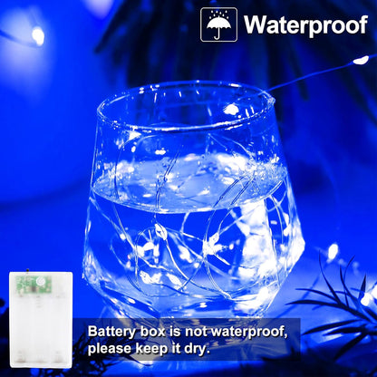 Christmas_Decorations_Blue_Fairy_String_Lights,_Battery_Operated_with_Timer,_2_Pack_Total_33FT_100_Led_Mini_Battery_Powered_Twinkle_Mason_Jar_Waterproof_Firefly_Lights_DIY_Party