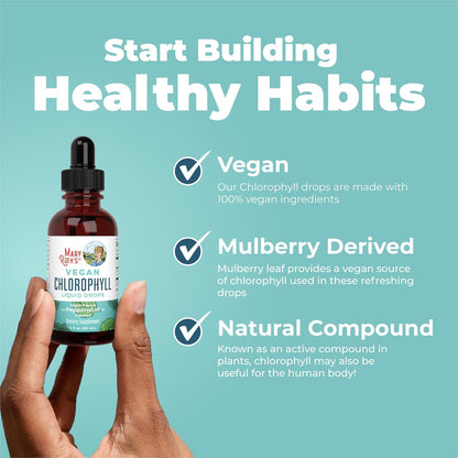MaryRuth's_Chlorophyll_Liquid_Drops_|_Clean_Label_Project_Certified®_|_Vegan_|_Non-Diluted_Liquid_Chlorophyll|_Mulberry_Derived_Supplement_for_Ages_14+_|_Non-GMO_|_Delicious_Minty_Flavor_|_2_Fl_Oz