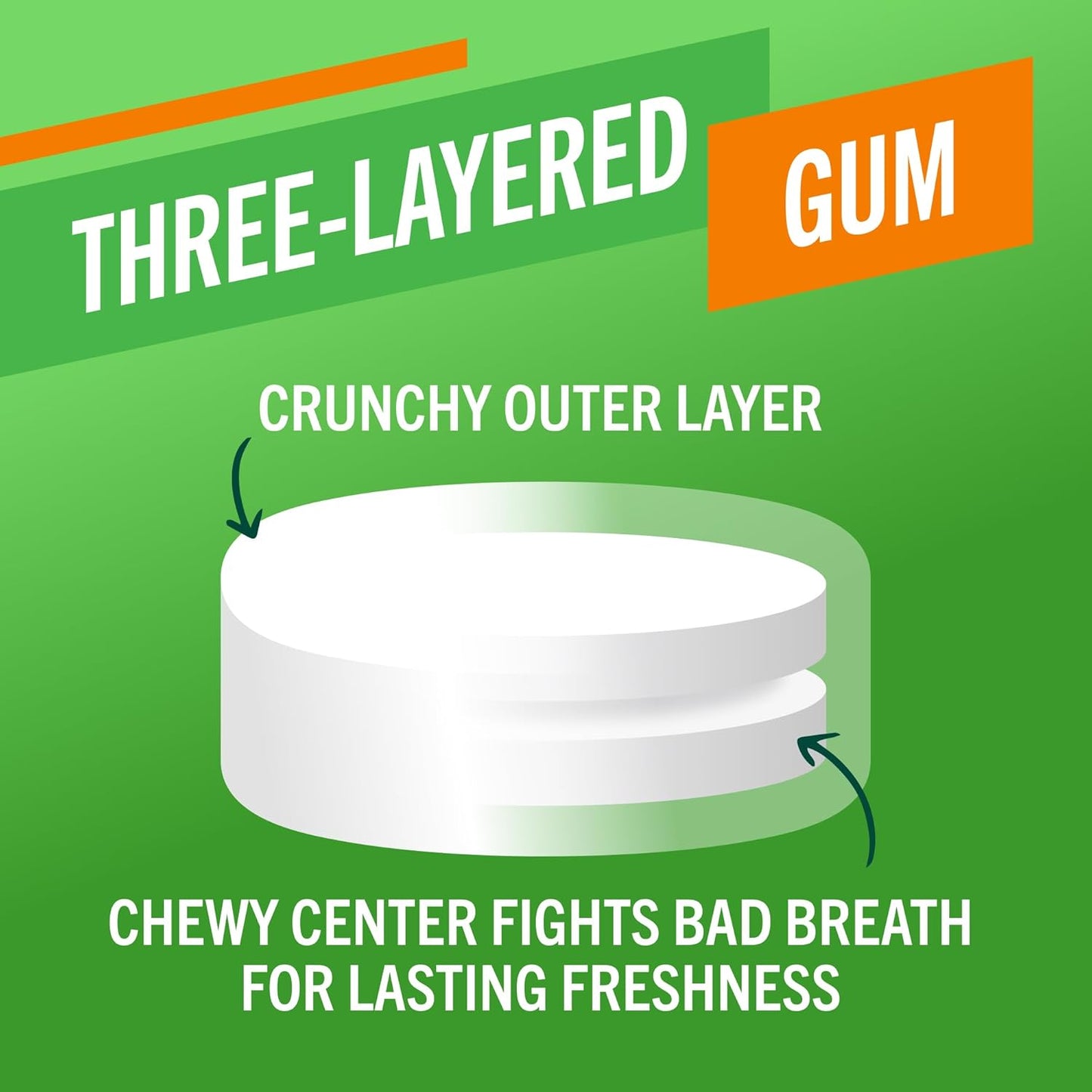 TheraBreath_Fresh_Breath_Chewing_Gum_with_ZINC,_Citrus_Mint_Flavor,_10_Count_(Pack_of_6)