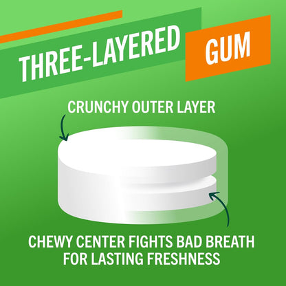 TheraBreath_Fresh_Breath_Chewing_Gum_with_ZINC,_Citrus_Mint_Flavor,_10_Count_(Pack_of_6)