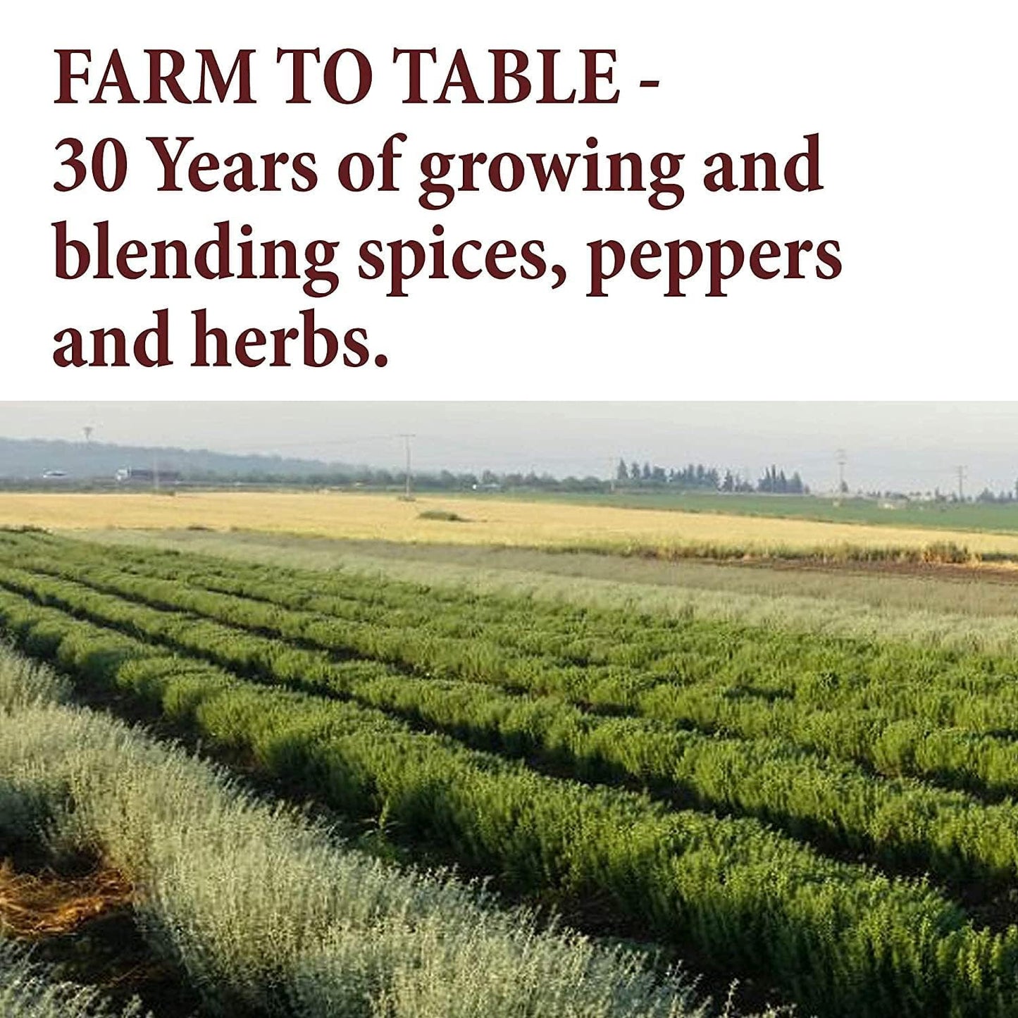 The_Spice_Way_Pumpkin_Pie_Spice_-_8_oz_seasoning_includes_Cinnamon,_Ginger,_Nutmeg,_Cloves_&_Allspice_–_Perfect_for_Baking