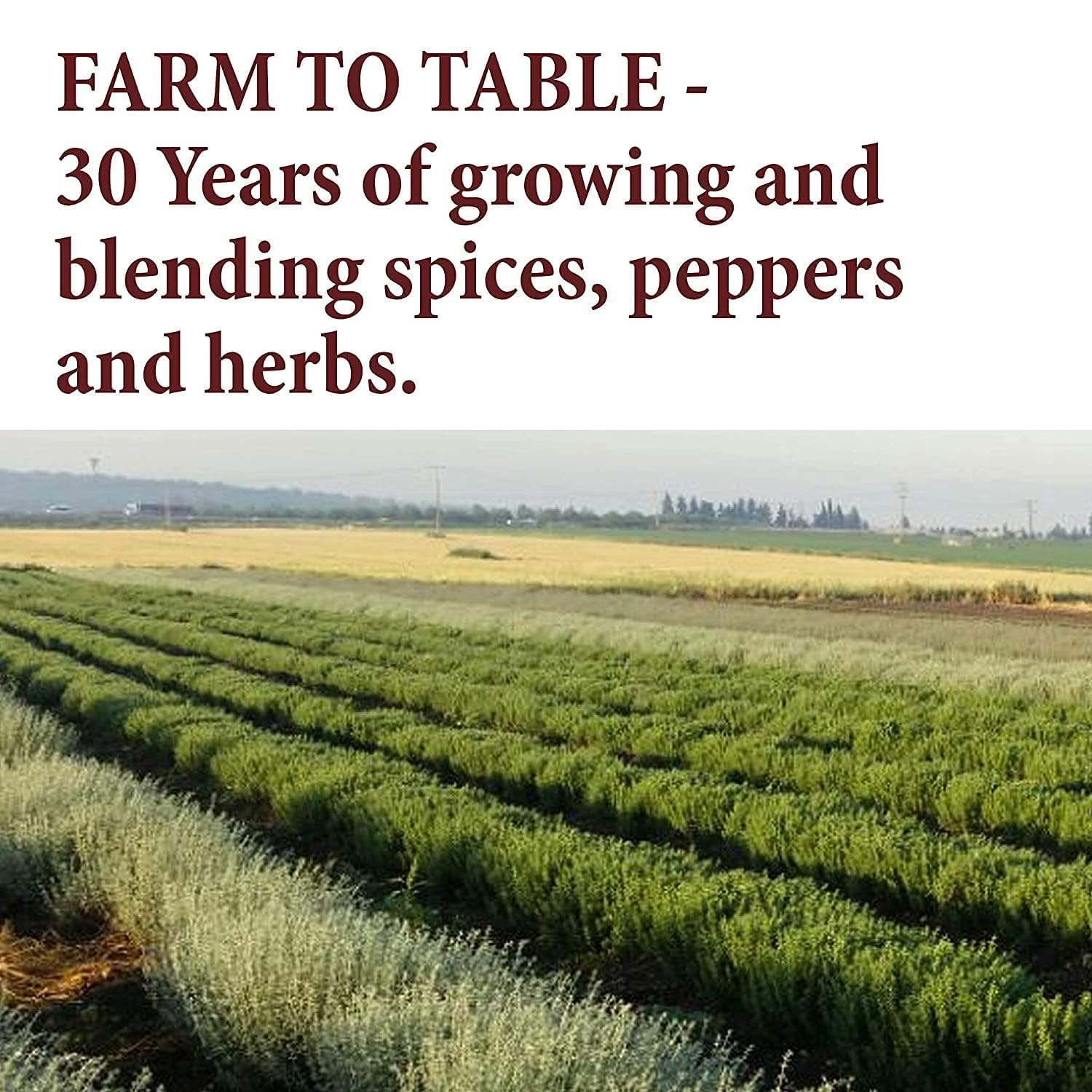 The_Spice_Way_Pumpkin_Pie_Spice_-_8_oz_seasoning_includes_Cinnamon,_Ginger,_Nutmeg,_Cloves_&_Allspice_–_Perfect_for_Baking