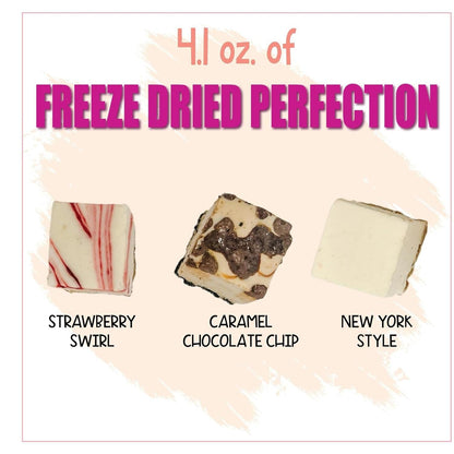 Freeze_Dried_Cheesecake_New_York_Style,_Caramel_Chocolate_Chip_and_Strawberry_Swirl_Crunchy_Treat_Resealable_Bag_4.1_oz_Cheese_Cake