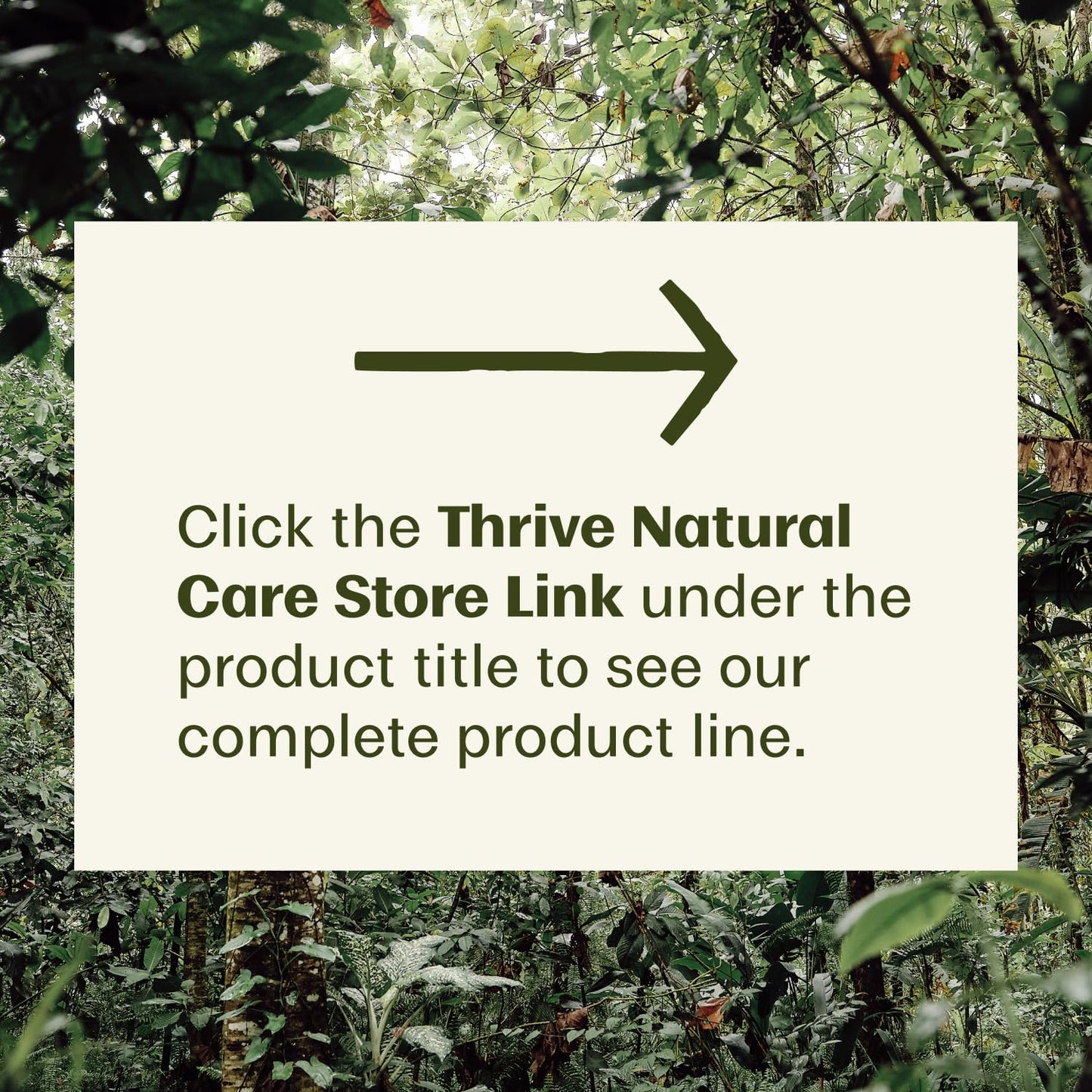 Thrive_Natural_Care_Reef_Safe_Sunscreen_SPF50_-_Hawaii_104_Reef_Act_Compliant_-_Mineral_Sunscreen_Non-Nano_Zinc_Oxide_-_Vegan,_(5.8_Oz_(Pack_of_1))