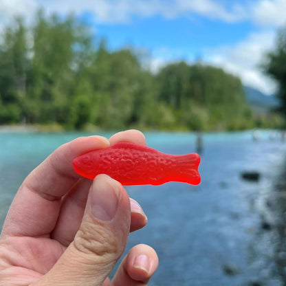 SWEDISH_FISH_Soft_&_Chewy_Gummy_Candy,_Bulk_Candy,_5_lb