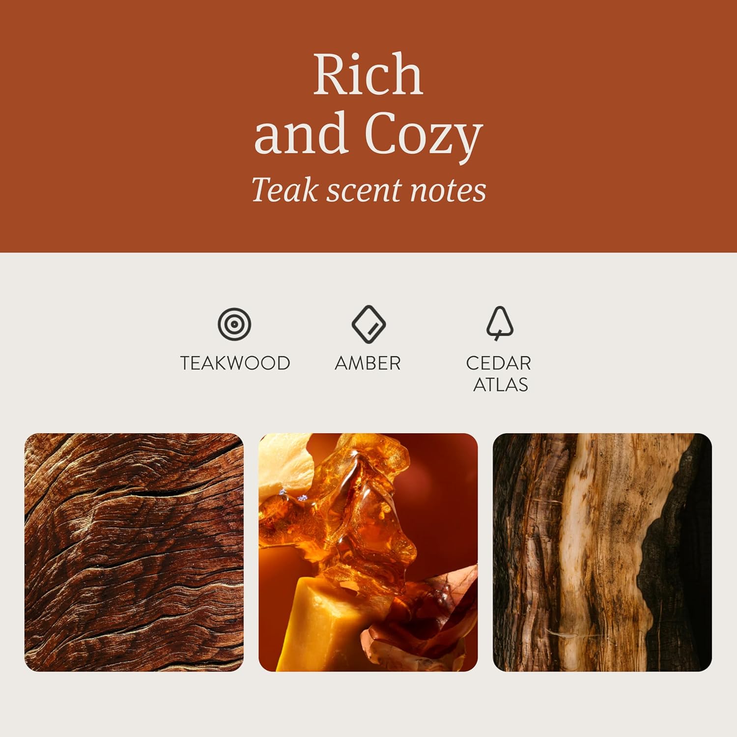 Drift_Car_Air_Freshener_-_Wood_Air_Freshener_-_Car_Odor_Eliminator_-_Teak_Scent_Starter_Kit