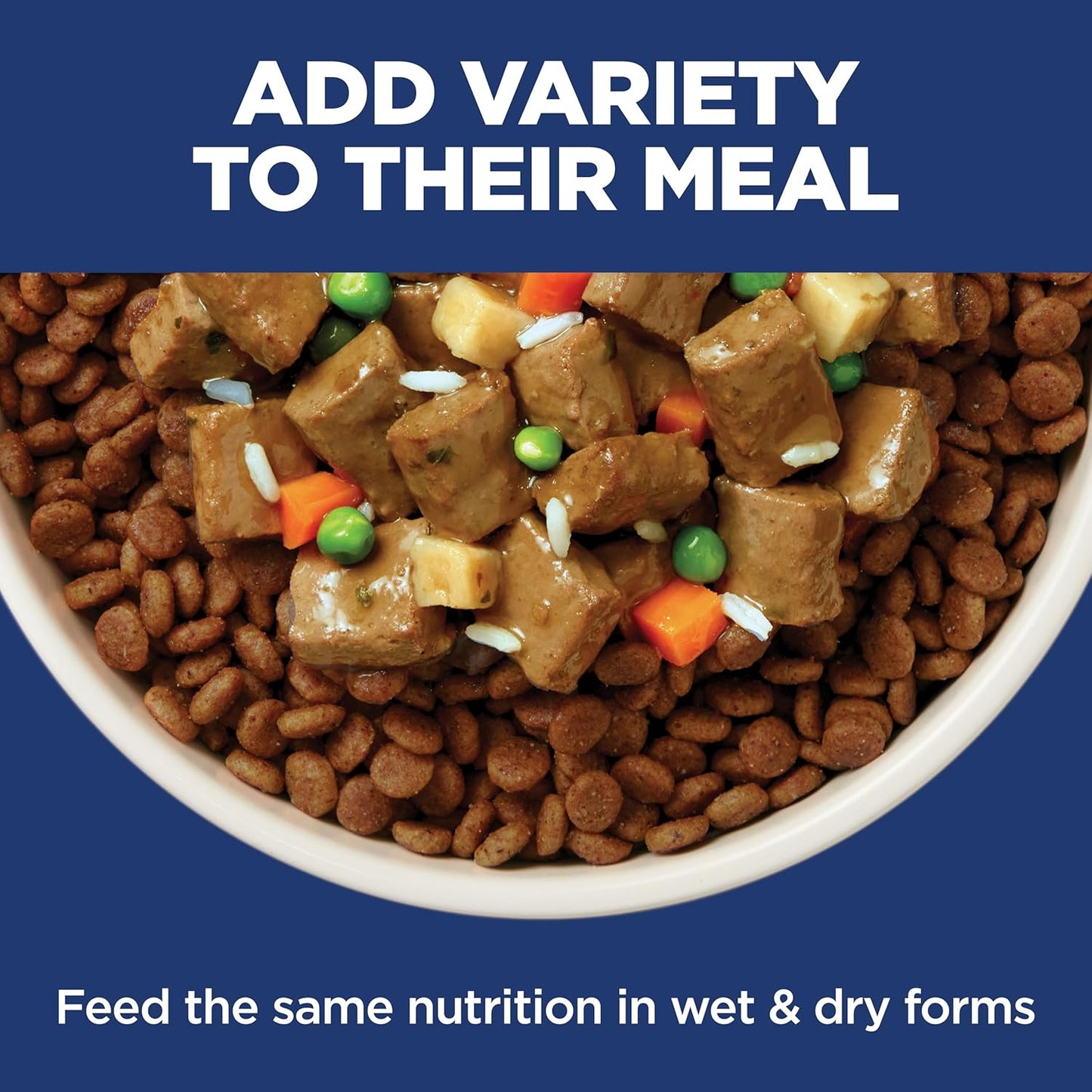 Hill's_Science_Diet_Adult_Sensitive_Stomach_&_Skin_Small_Bites_Dry_Dog_Food,_Chicken,_4_lb._Bag