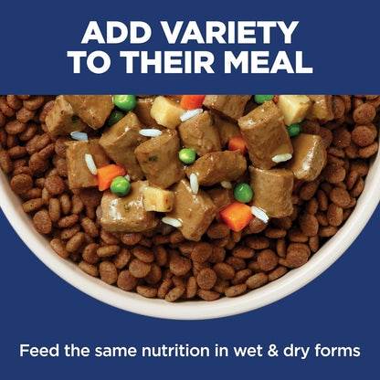 Hill's_Science_Diet_Adult_Sensitive_Stomach_&_Skin_Small_Bites_Dry_Dog_Food,_Chicken,_4_lb._Bag