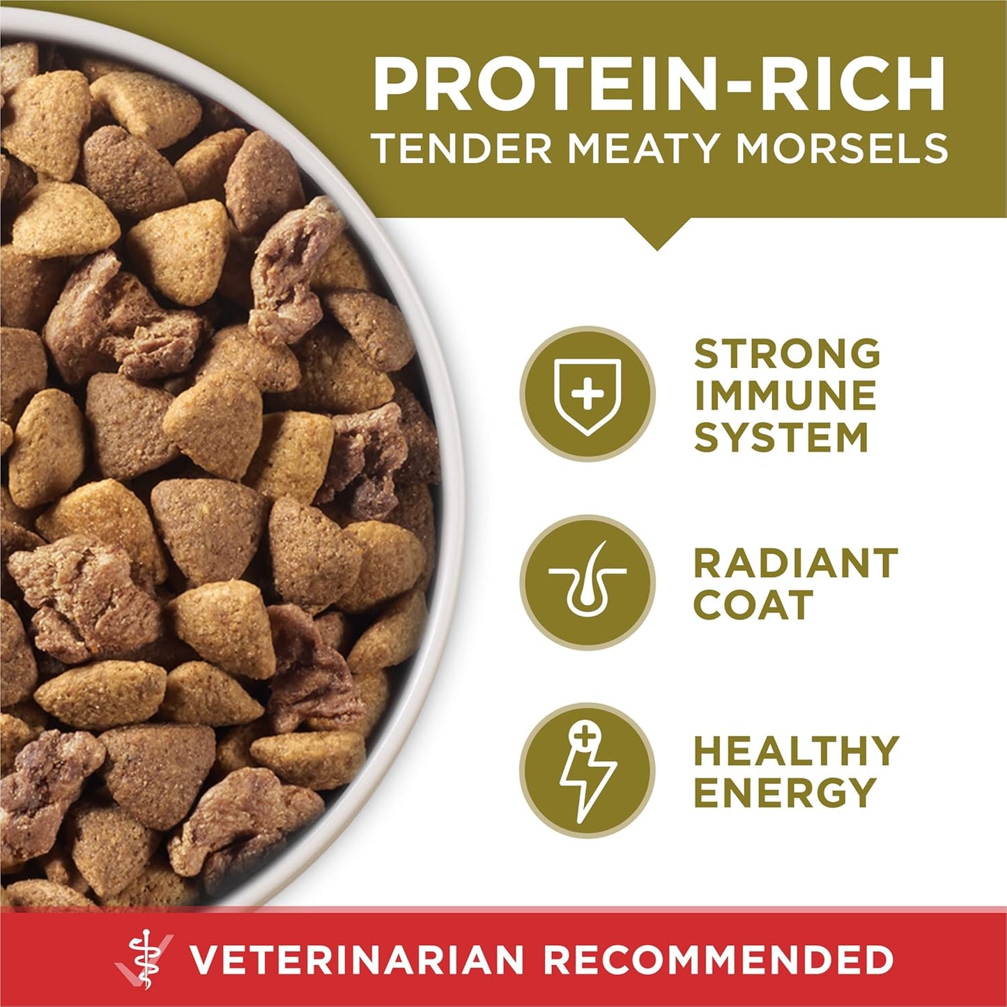 Purina_ONE_Dry_Dog_Food_Lamb_and_Rice_Formula_-_31.1_lb._Bag