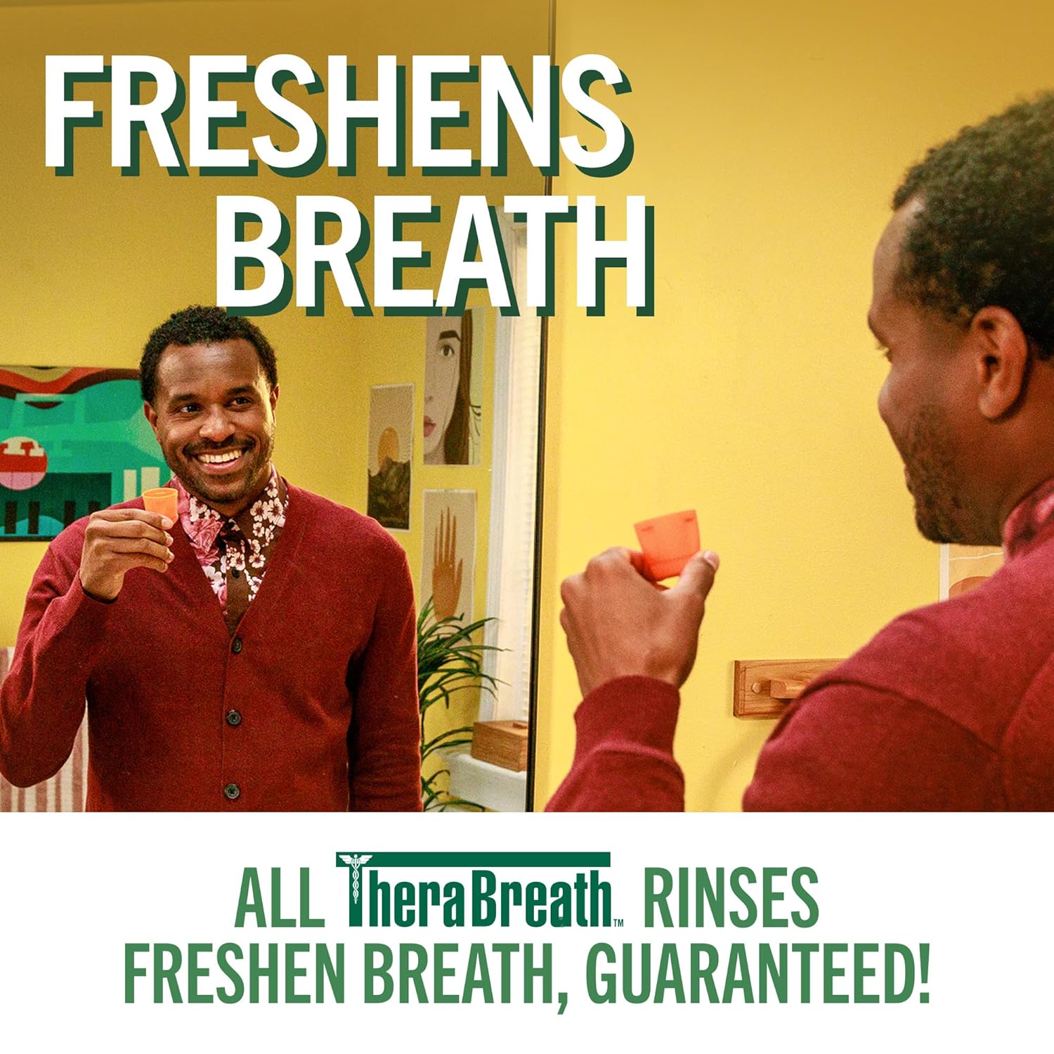 TheraBreath_Fresh_Breath_Mouthwash,_Rainforest_Mint,_Alcohol-Free,_16_Fl_Oz_(2-Pack)