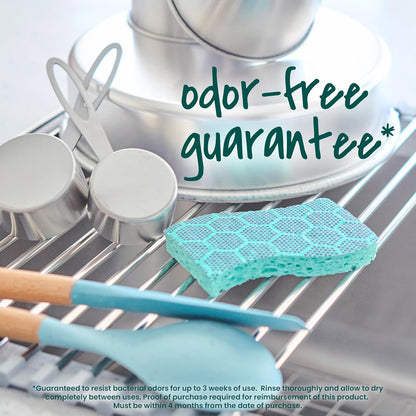 Scotch-Brite_Odor_Resist_Heavy_Duty_Scrub_Sponge,_Dishwasher-Safe_Kitchen_sponges_for_Serious_Scrubbing,_Multipurpose_Dish_Sponge_for_Stuck-On_Messes,_6_Scrubbing_Sponges
