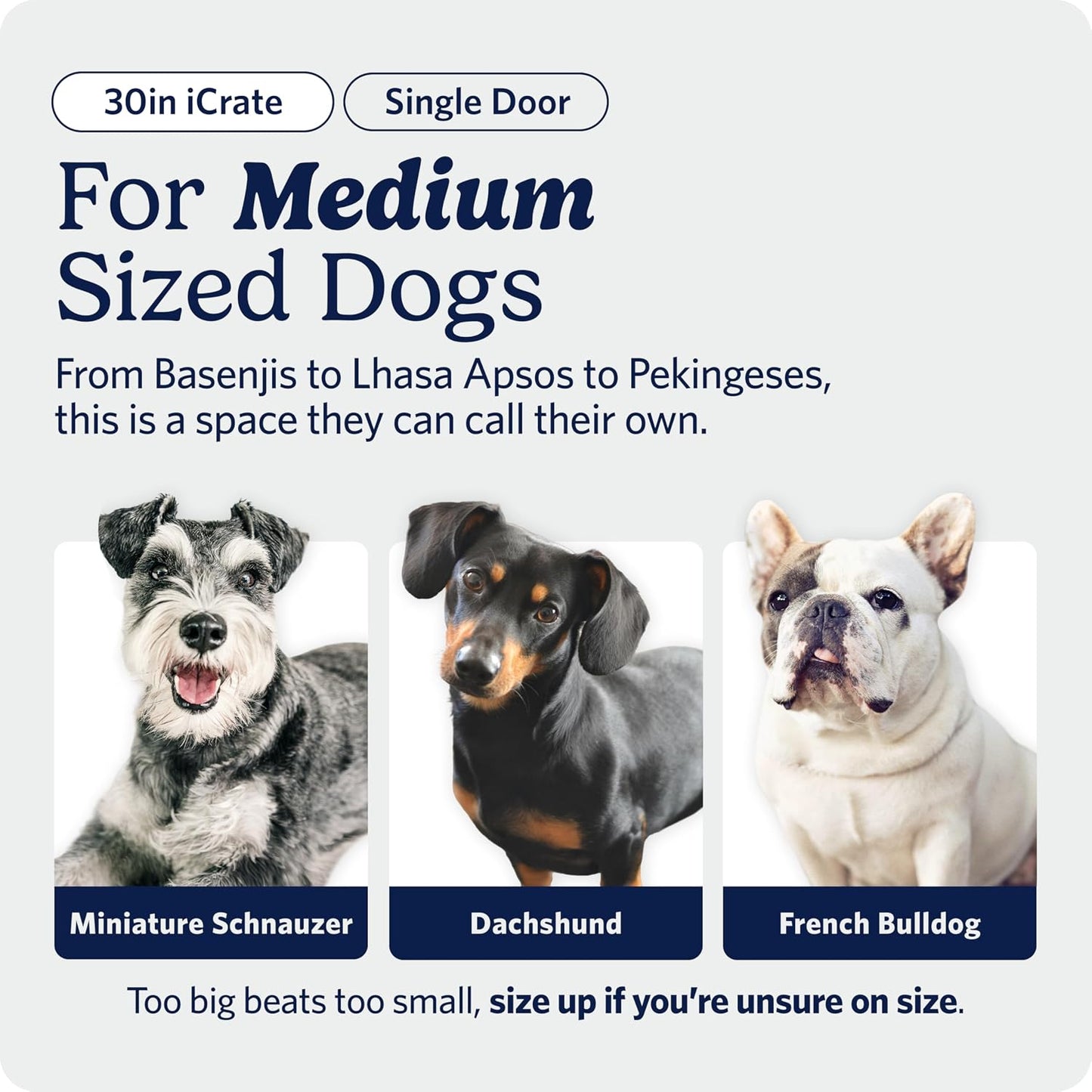 MidWest_Homes_for_Pets_30-Inch_iCrate_for_Medium_Breeds,_21-40_lbs,_Single_Door_Folding_Dog_Crate_with_Divider_Panel,_Leak-Proof_Tray_&_Secure_Latch,_Portable,_Durable_&_Easy_to_Assemble