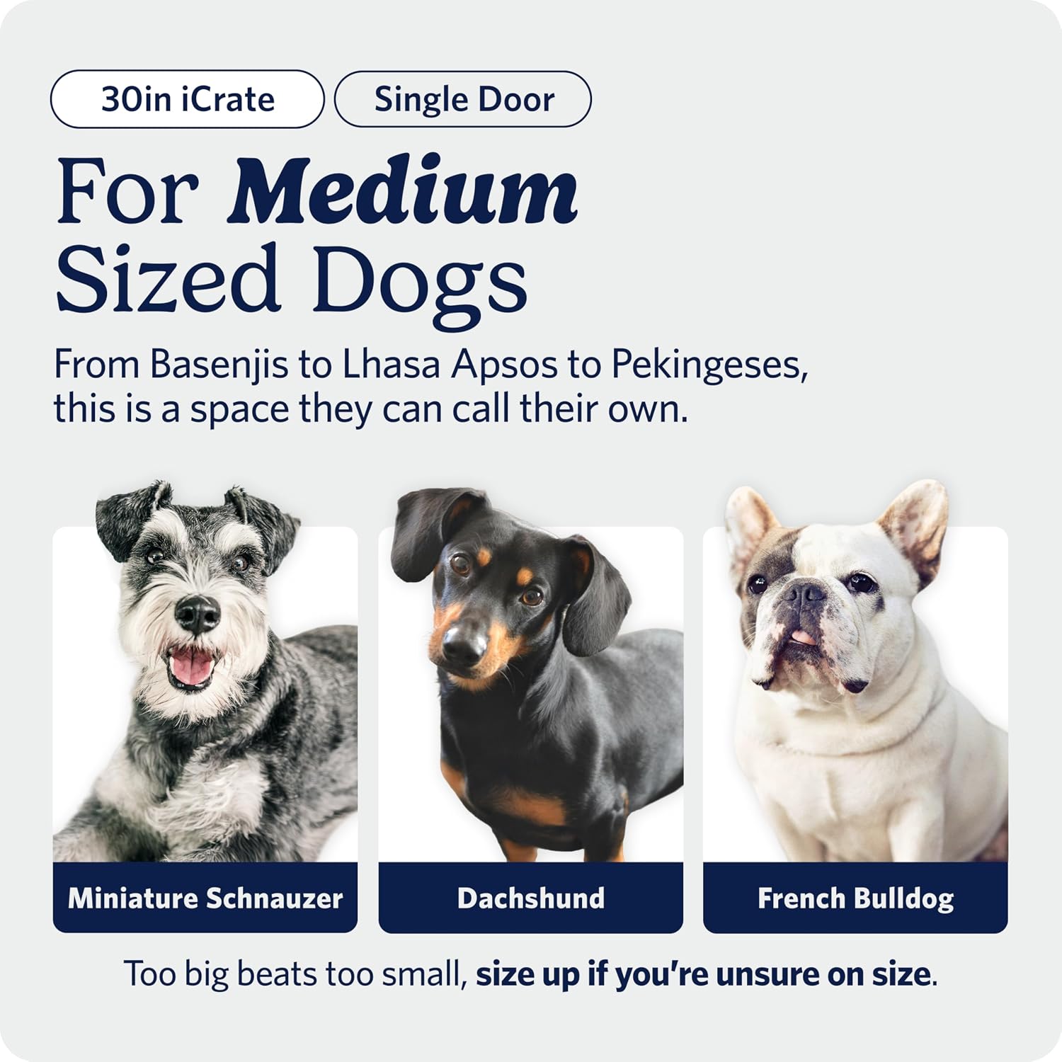 MidWest_Homes_for_Pets_30-Inch_iCrate_for_Medium_Breeds,_21-40_lbs,_Single_Door_Folding_Dog_Crate_with_Divider_Panel,_Leak-Proof_Tray_&_Secure_Latch,_Portable,_Durable_&_Easy_to_Assemble