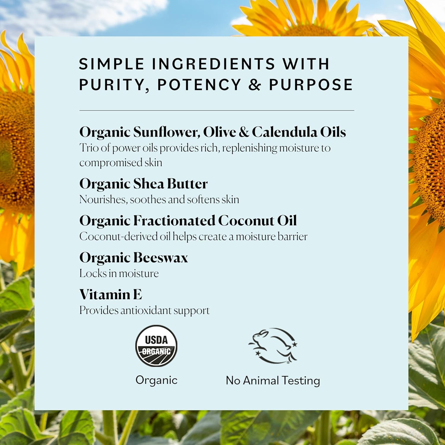 Sky_Organics_Organic_Petroleum-free_Jelly,_Multi-Purpose_Skin_Care_Balm_with_Organic_Shea_Butter,_Coconut_Oil,_Olive_Oil_&_Vitamin_E,_Moisturizing_Lip_Balm_&_Moisturizer_for_Dry_Skin,_2.5_Oz