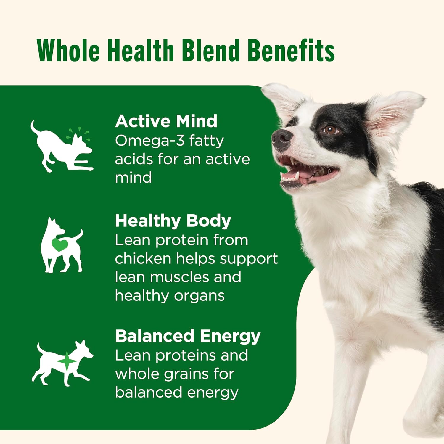 Nutrish_Rachael_Ray_Wet_Dog_Food_Chunks_in_Gravy_Real_Chicken_&_Veggies_Recipe,_13_oz._Can,_12_Count