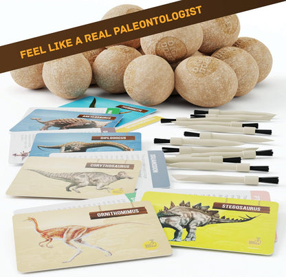 Dan&Darci_Dig_a_Dozen_Dino_Egg_Kit_for_Kids_-_Easter_Basket_Stuffers_-_Dinosaur_Toys_Gift_3-12_Year_Old_-_12_Eggs_&_Surprise_Dinosaurs_-_Science_STEM_Activities_-_Boy_Toy_Party_Gifts_for_Boys_&_Girls