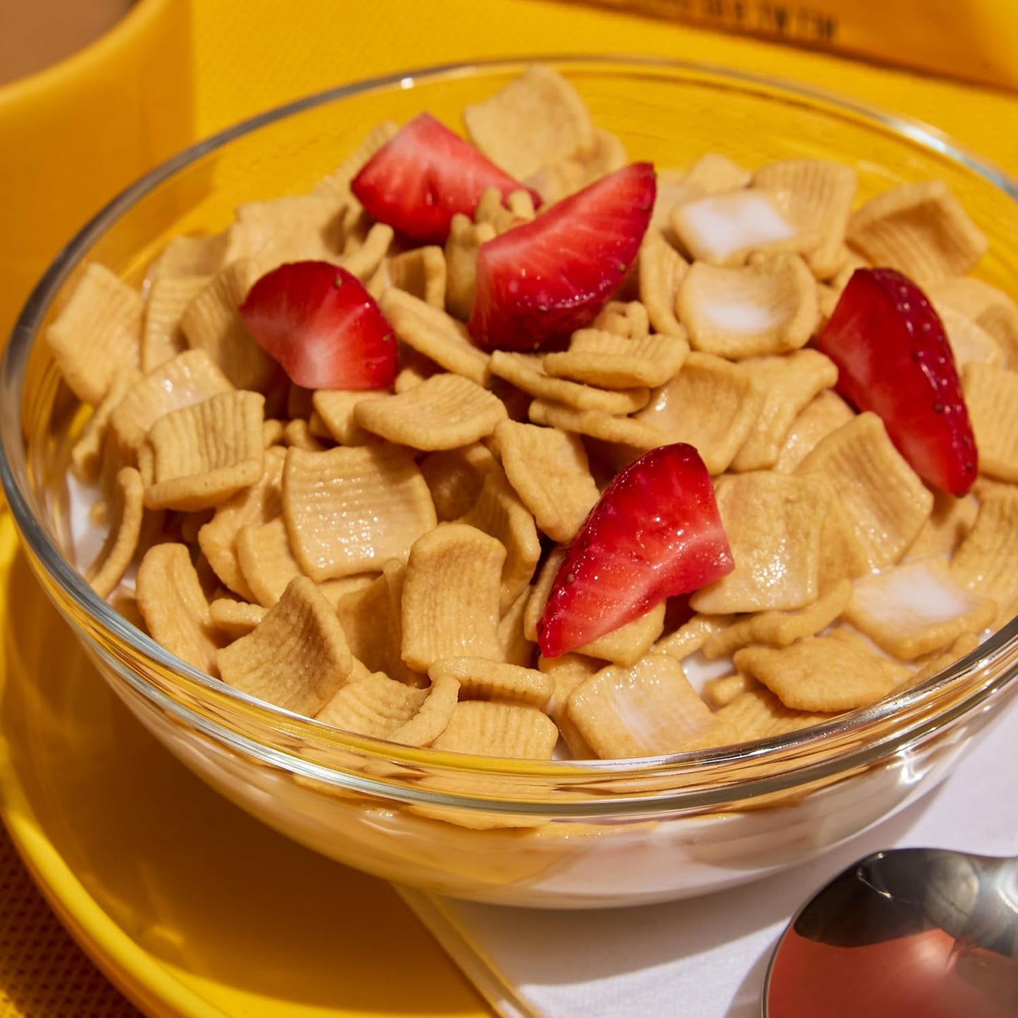 Catalina_Crunch_Protein_Cereal_-_Sugar_Free_Breakfast_Cereal_with_11g_of_Protein_-_Gluten_Free_-_Honey_Graham_-_9_oz._Bag_(Pack_of_1)_(Packaging_May_Vary)