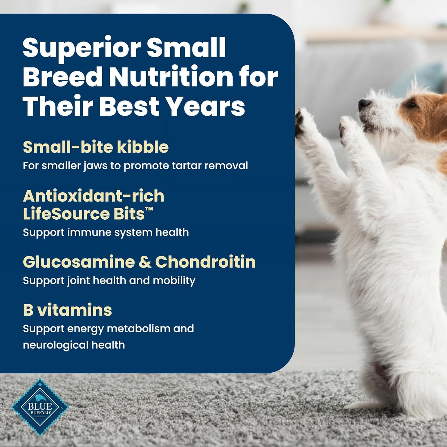 Blue_Buffalo_Life_Protection_Formula_Chicken_&_Brown_Rice_Small_Breed_Senior_Dry_Dog_Food,_Supports_Immunity_With_Antioxidant-Rich_LifeSource_Bits,_Promotes_Healthy_Muscles,_Skin_&_Coat_Health,_5_lbs.