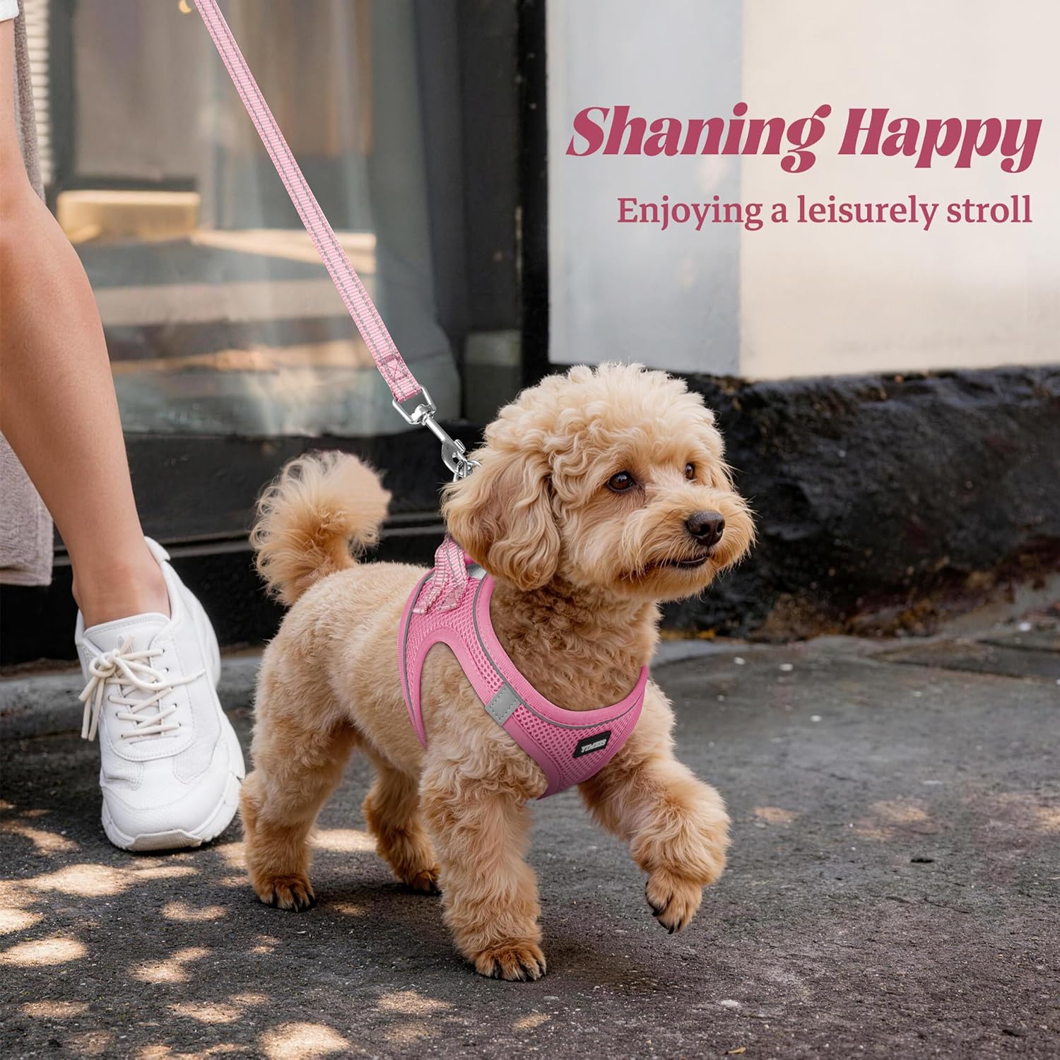 Dog_Harness_and_Leash_Set,_No_Pull_Soft_Mesh_Pet_Harness,_Reflective_Adjustable_Puppy_Vest_for_Small_Medium_Large_Dogs,_Cats_(Pink,_X-Small_(Pack_of_1)