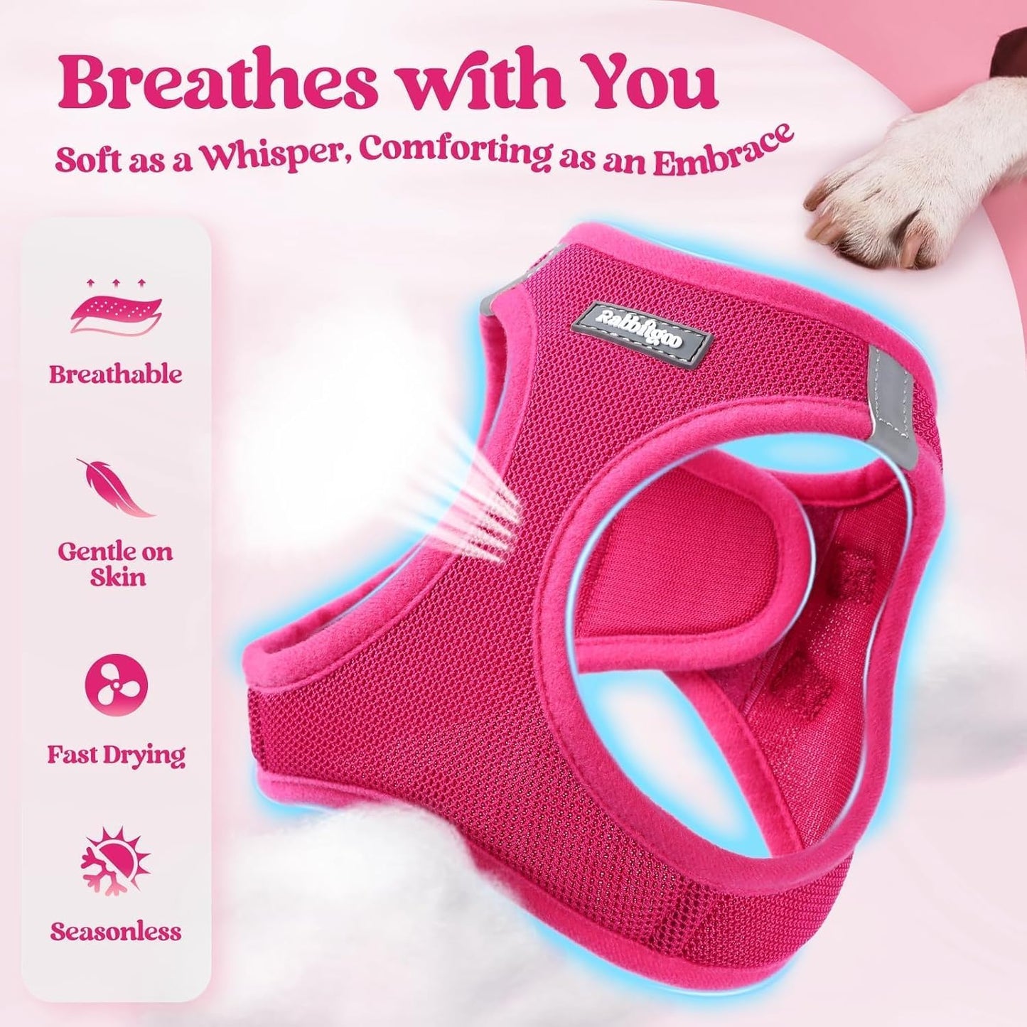 rabbitgoo_Dog_Harness_Small_Sized_and_Leash_Set,_Step_in_Soft_Light_Puppy_Vest,_Breathable_Mesh_Pet_Harness,_Reflective_for_Safe_Easy_Walking,_Rose_Red_S