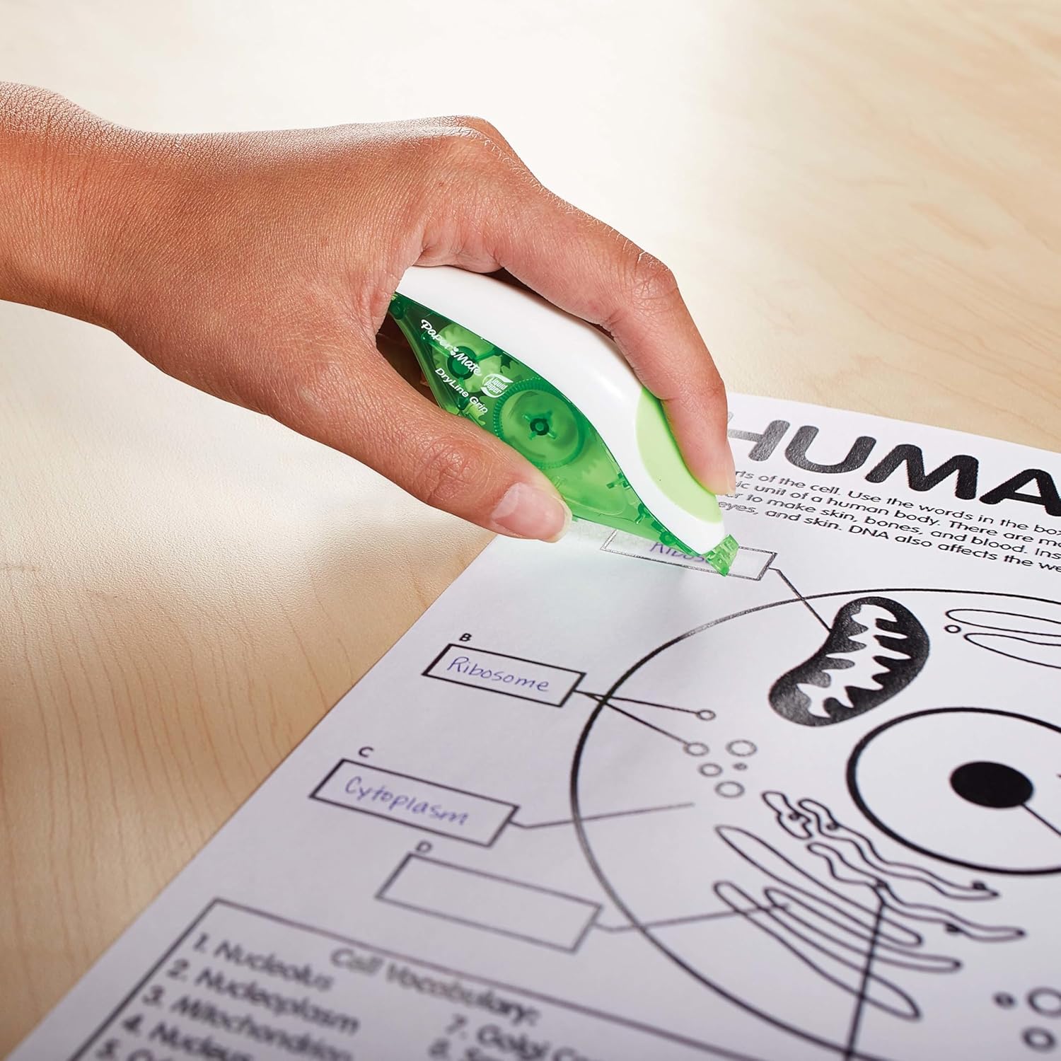 Paper_Mate_Paper_Mate_Liquid_Paper_DryLine_Grip_Correction_White_Tape,_2_Count